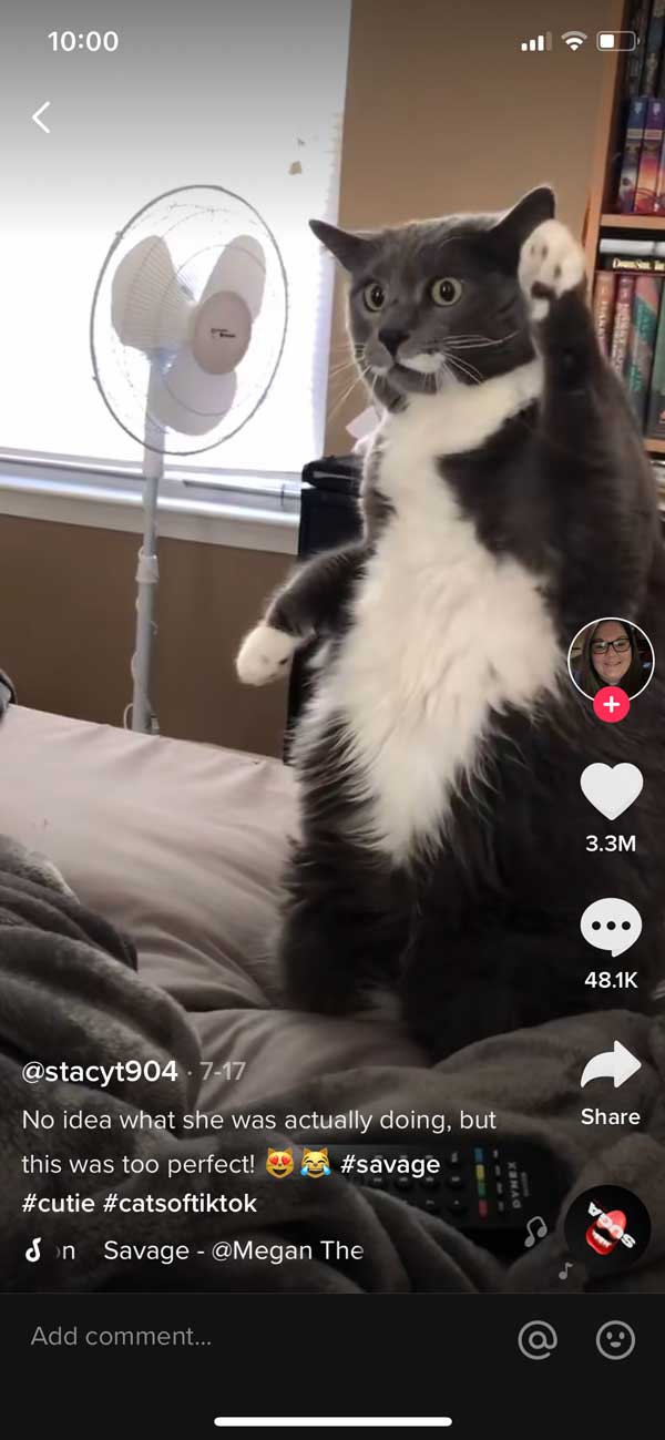 popular tiktok video screenshot.