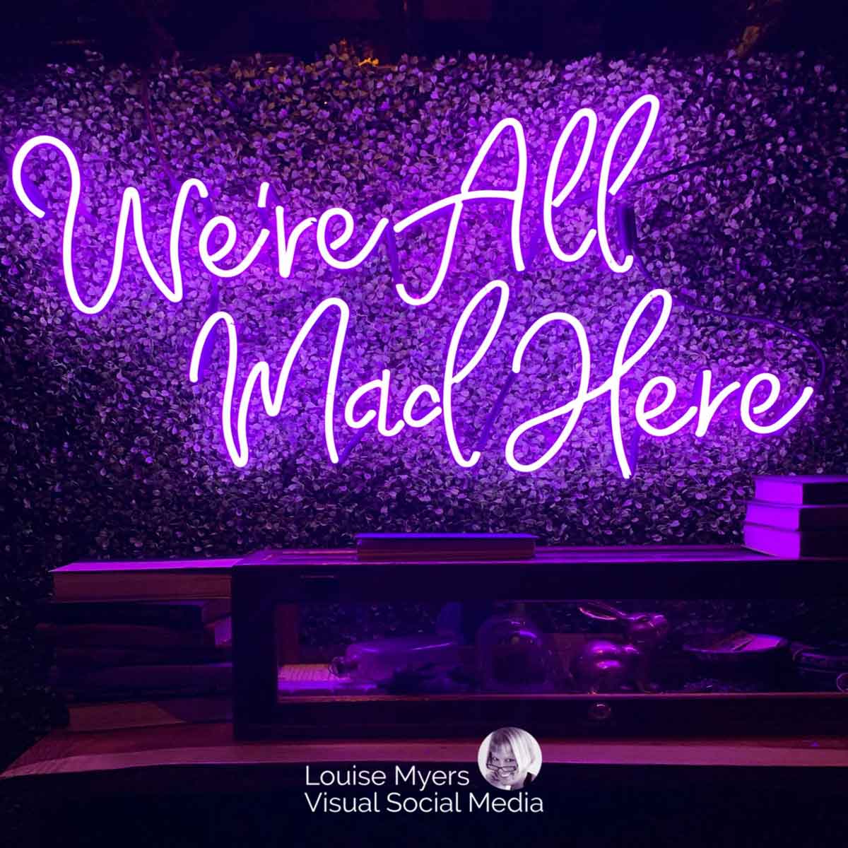 purple neon sign says we're all mad here.