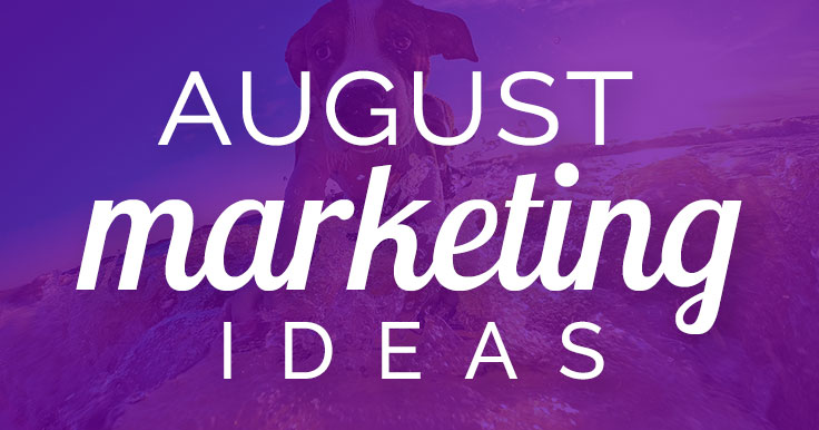 August marketing ideas banner image