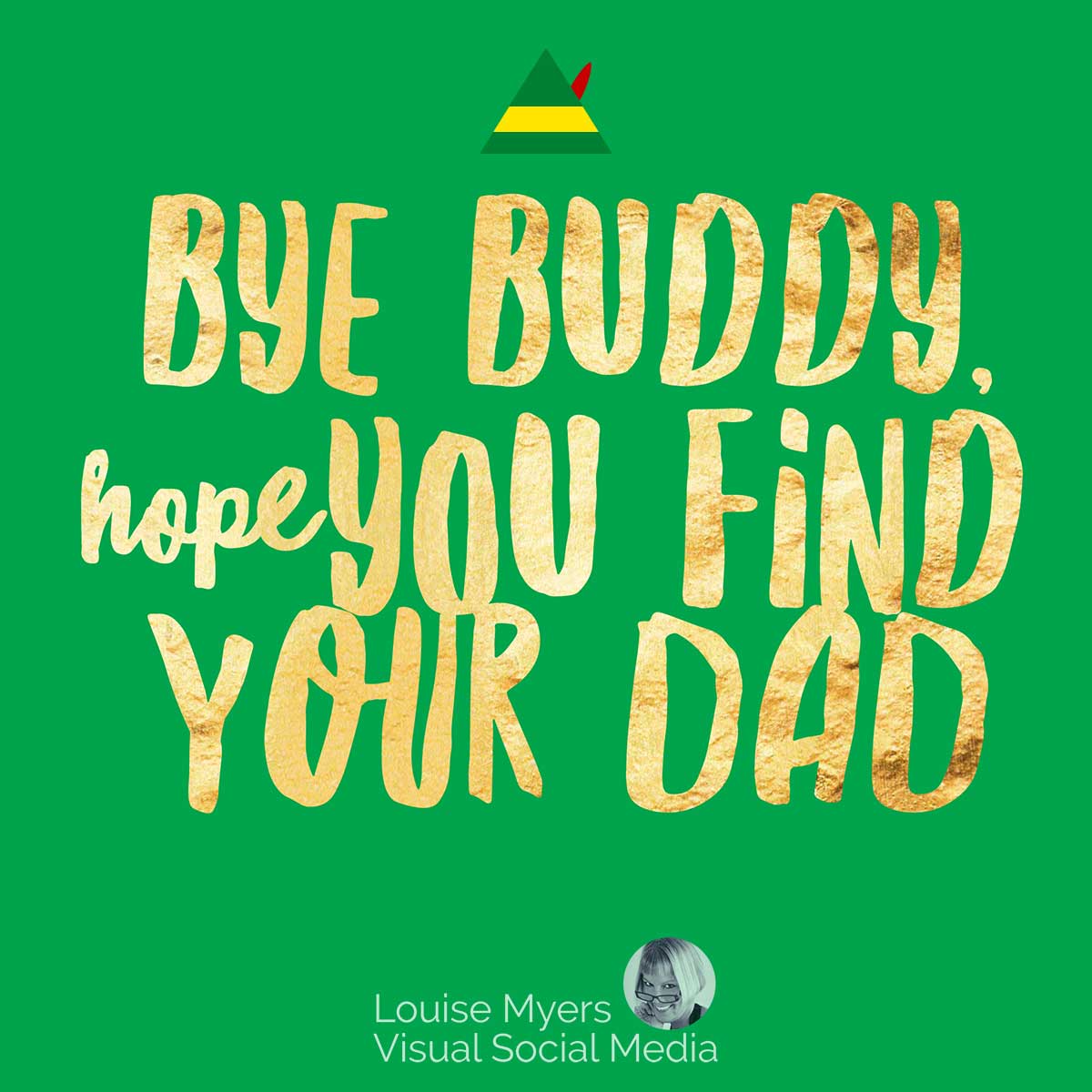 green graphic has quote, Bye Buddy, hope you find your dad!