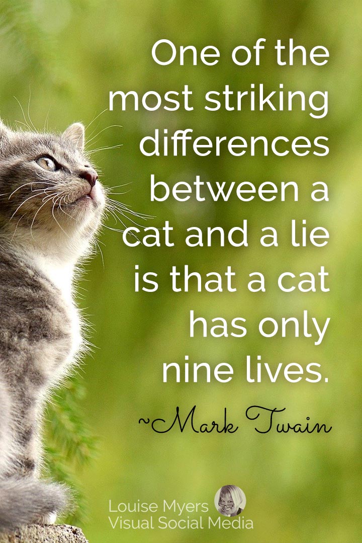 cute kitten says difference between cat and lie is a cat has only nine lives.