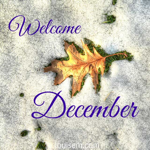 welcome december leaf on snow picture quote.