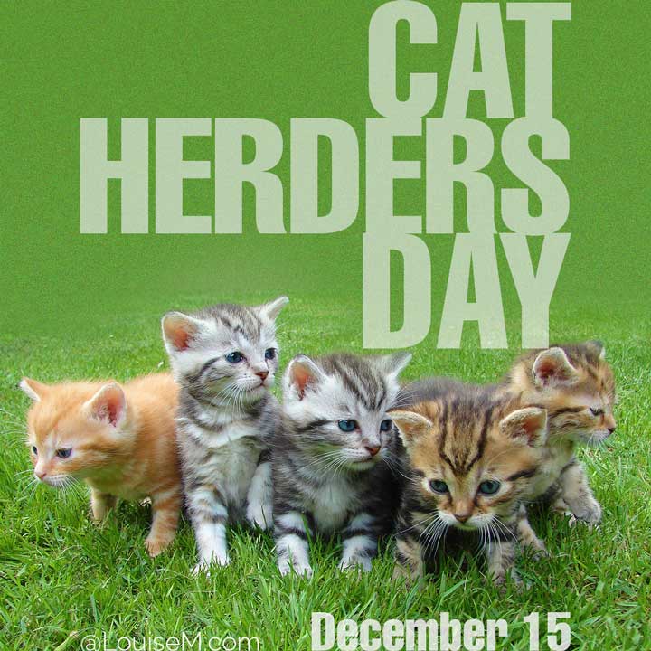 photo of adorable kittens says december 15 is cat herders day.