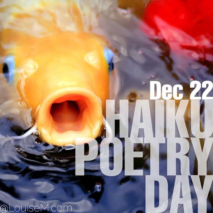 december 22 holiday haiku poetry day on photo of koi fish.