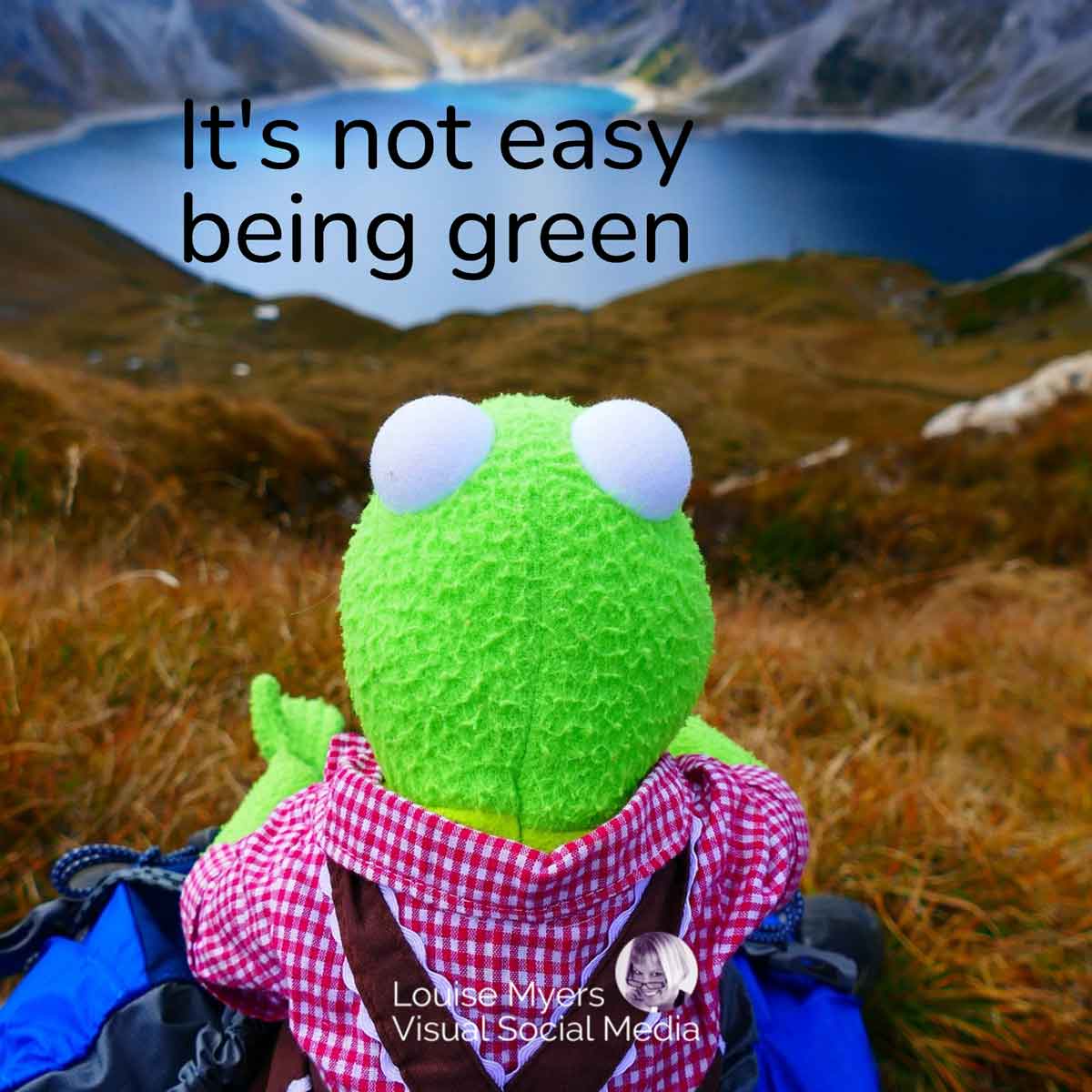 view from behind Kermit, who is sitting and looking at a lake, says It’s not easy being green.