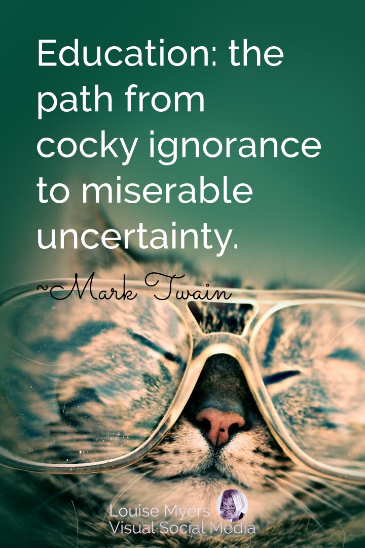 cat wearing huge glasses has humorous quote, education is the path from ignorance to uncertainty.