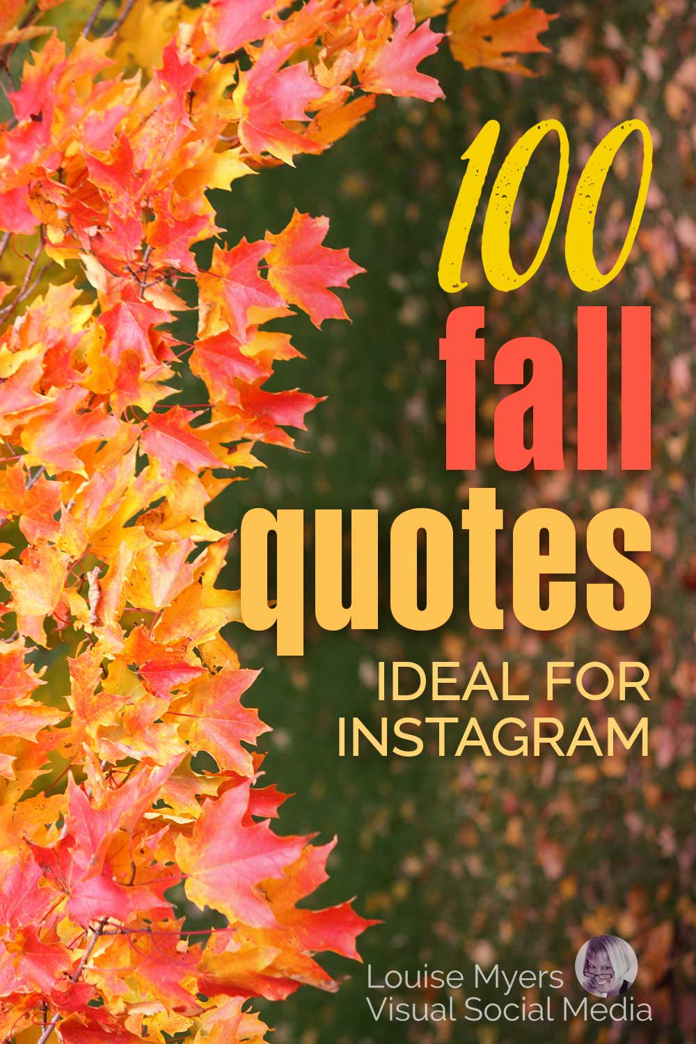 red orange and gold autumn leaves with words 100 fall quotes ideal for instagram.