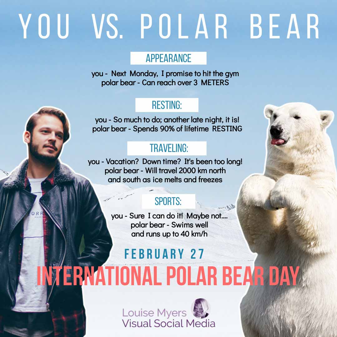 man and polar bear with list of comparisons says february 27 is International Polar Bear Day.