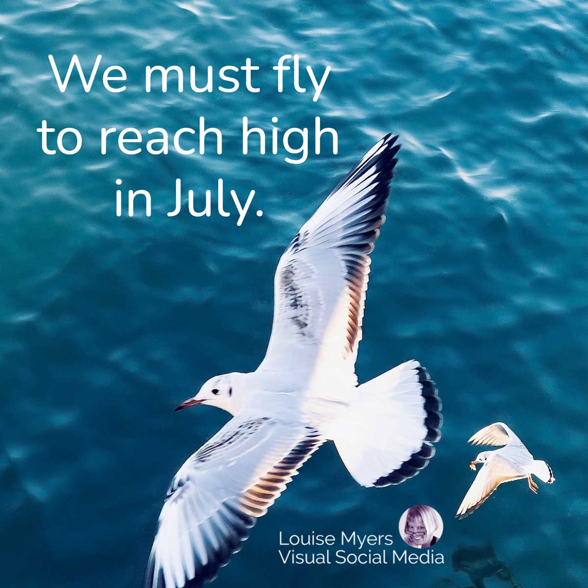 two seagulls flying over deep blue ocean has quote, We must fly to reach high in July.