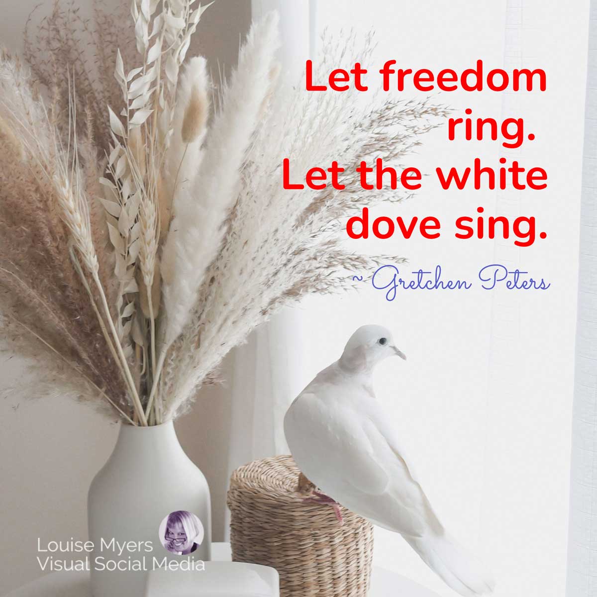 white dove sitting at bright window says, Let freedom ring, Let the white dove sing.