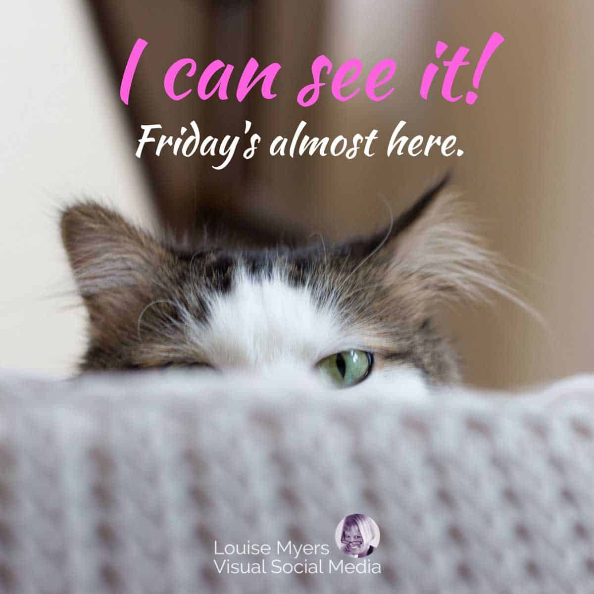 cat peeks over couch with cute caption, I can see it, Friday's almost here.