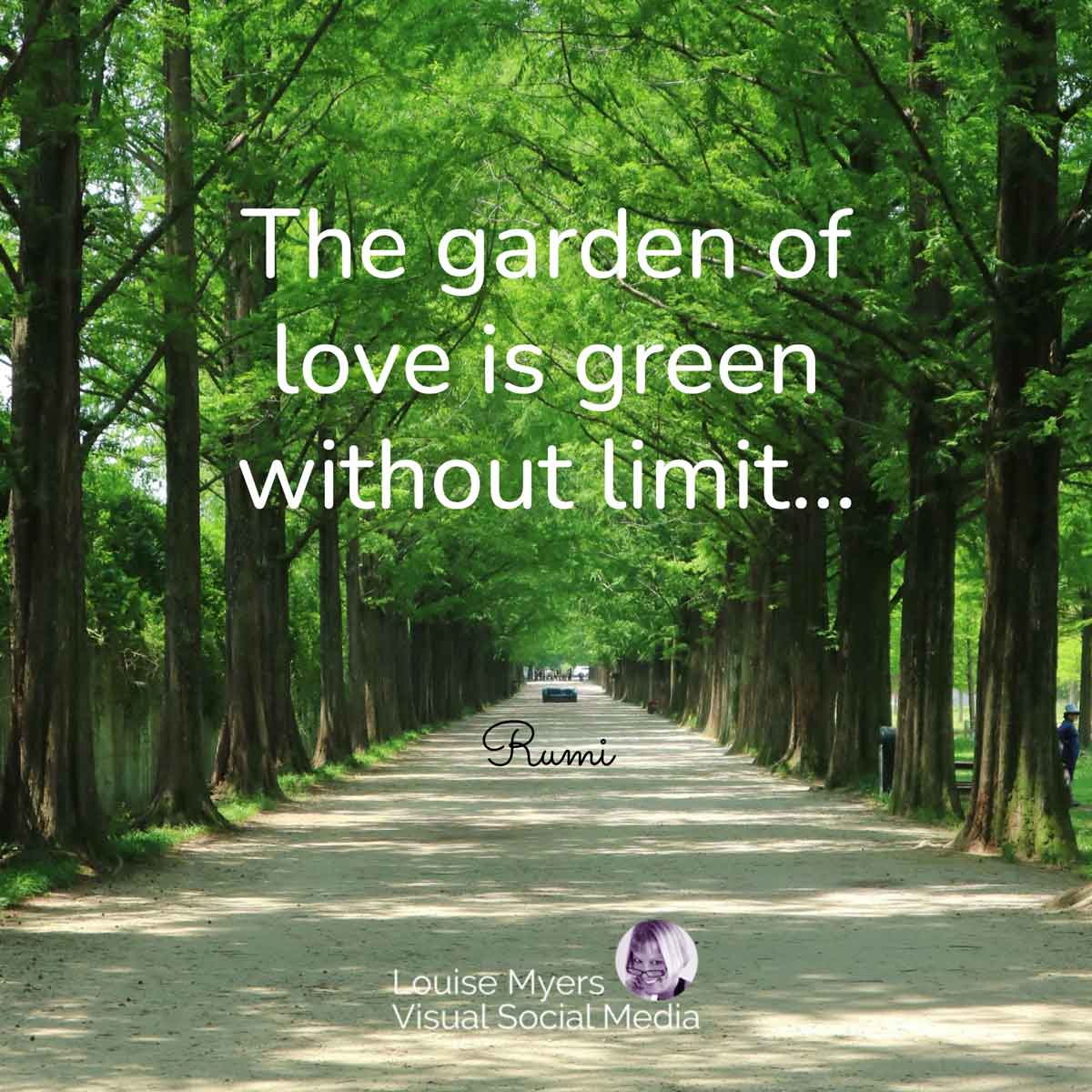 wide path lined by green trees has Rumi quote, The garden of love is green without limit.