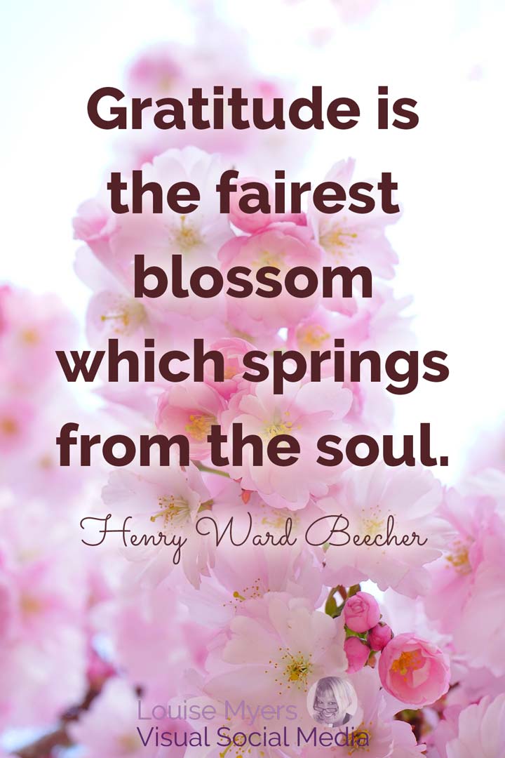 pink flowered quote image says gratitude is the fairest blossom.