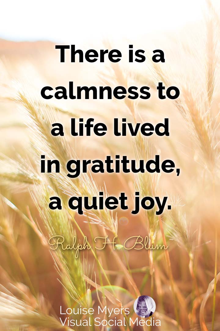 harvest wheat with quote, there is a calmness to life lived in gratitude.