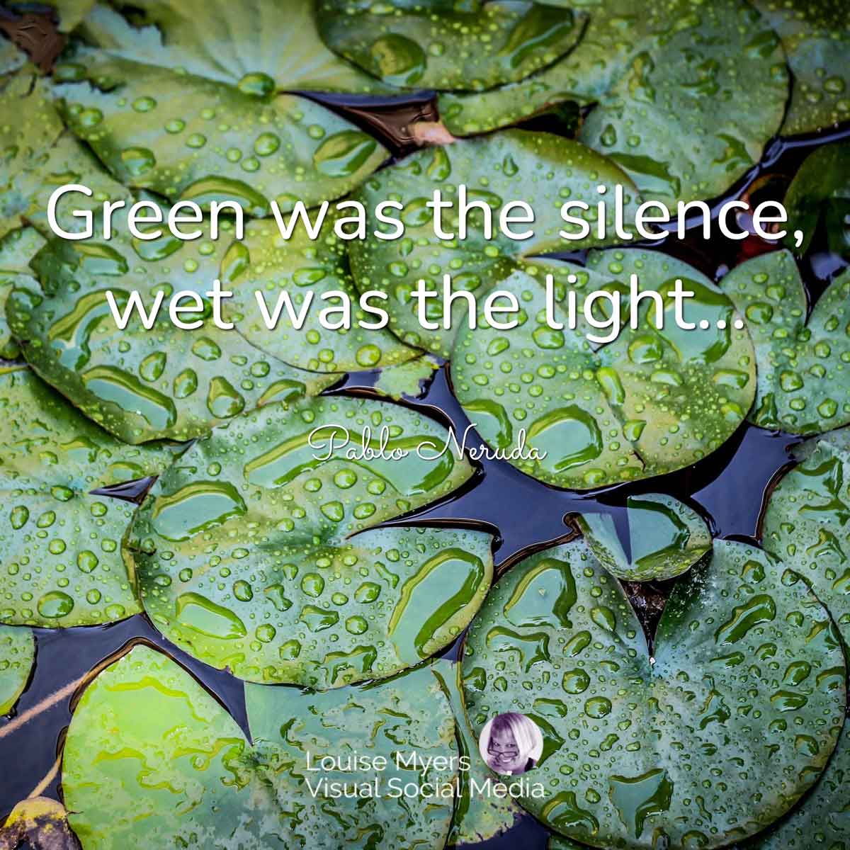 moist lily pads in pond with Neruda quote, Green was the silence, wet was the light.