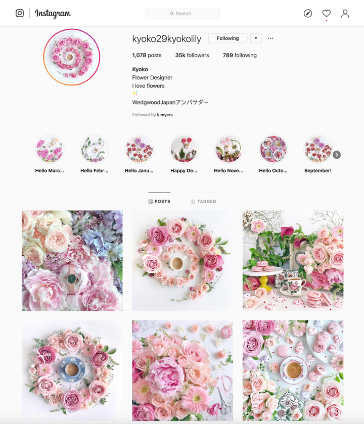 grow our Instagram following with gorgeous consistency