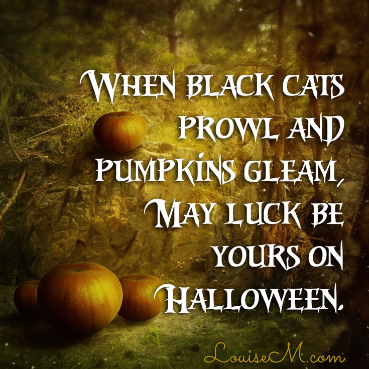 black cats prowl and pumpkins gleam Halloween quote.