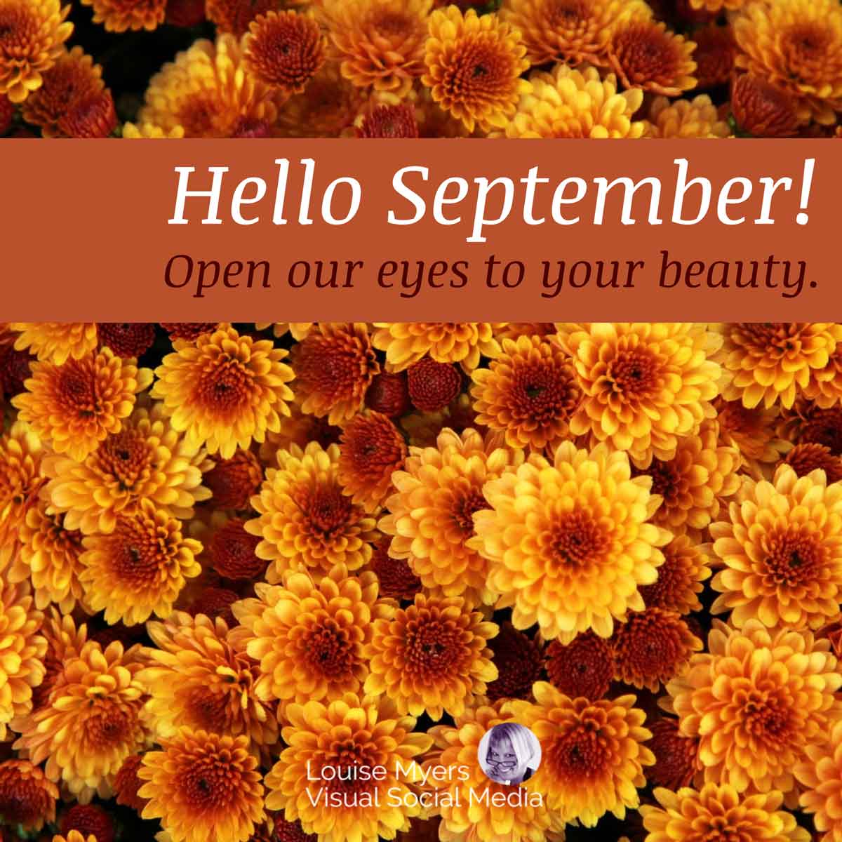 golden mums with quote, Hello September! Open our eyes to your beauty.