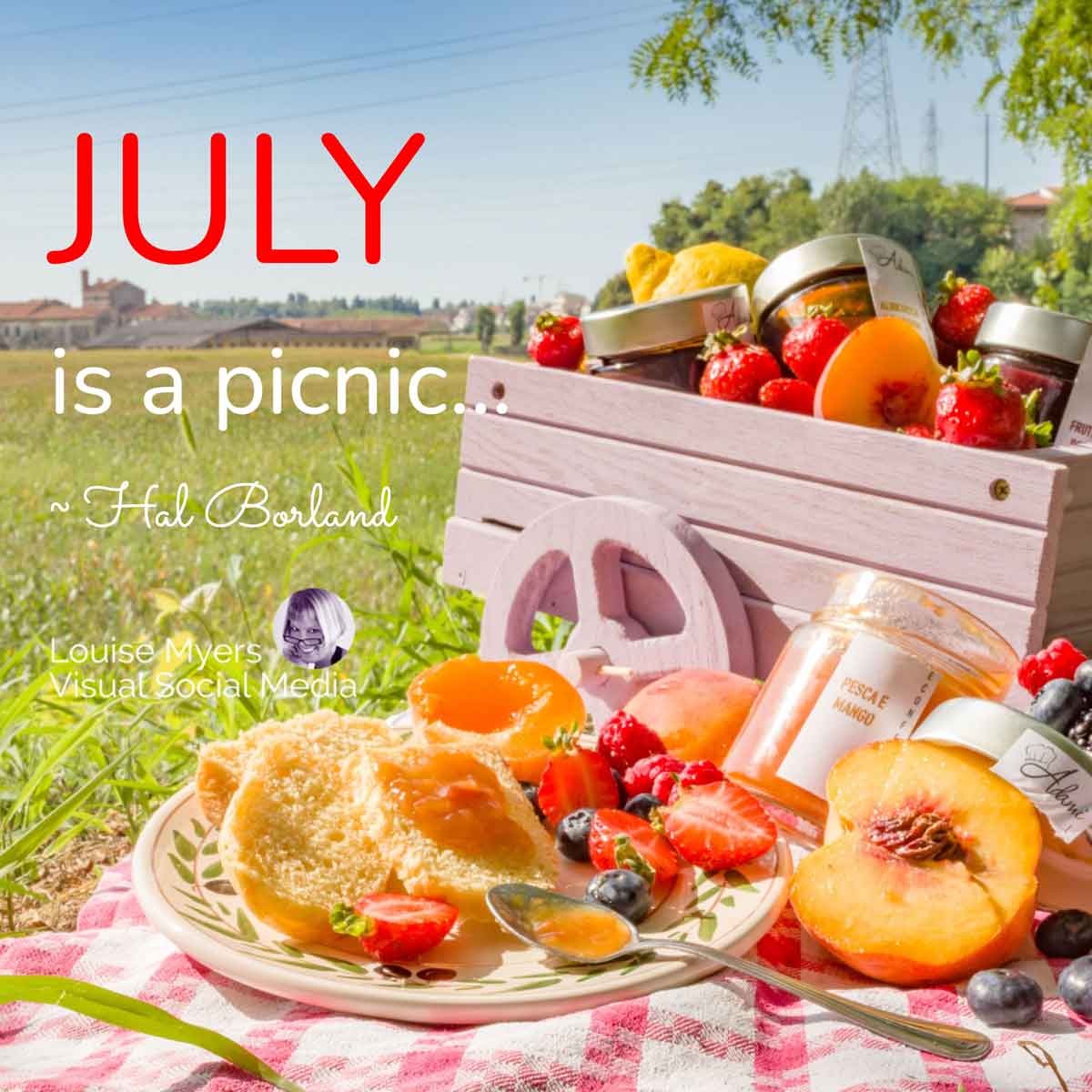 checkered tablecloth with basket and fruit says July is a picnic.