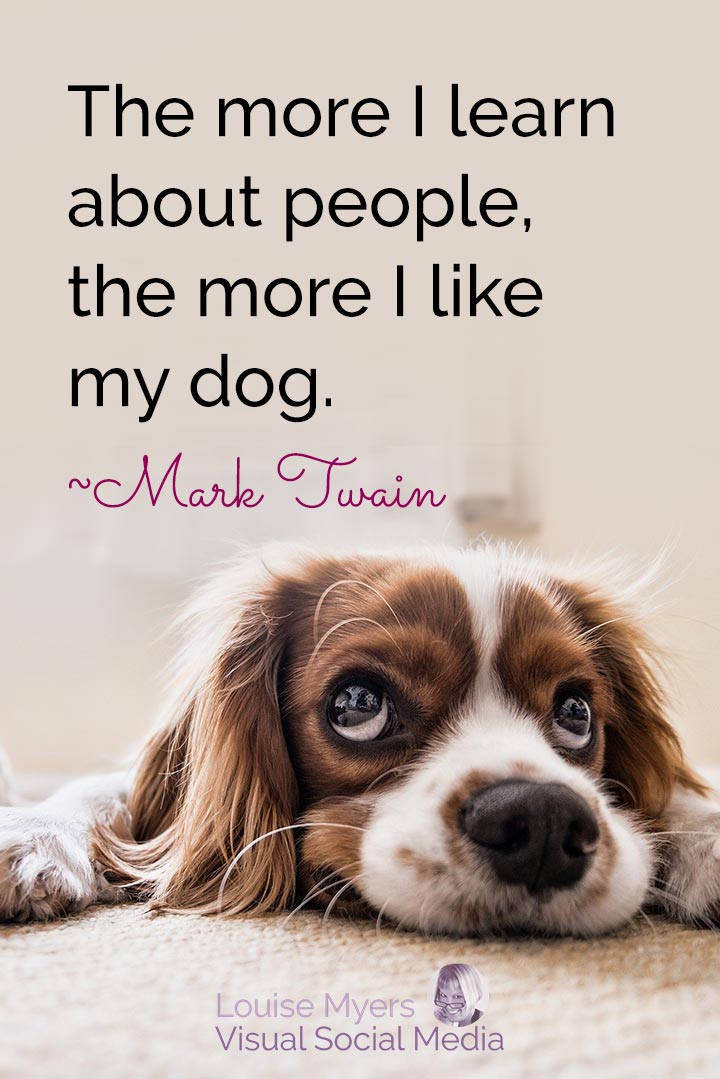 Mark Twain quote image: like dog more than people