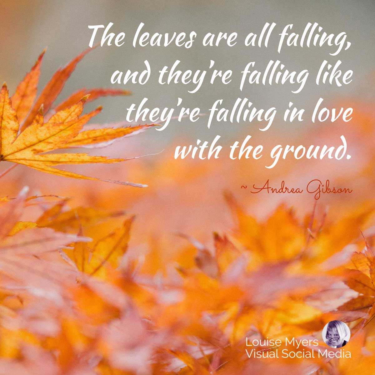 closeup of autumn leaves has quote, The leaves are all falling, and they’re falling like they’re falling in love with the ground.