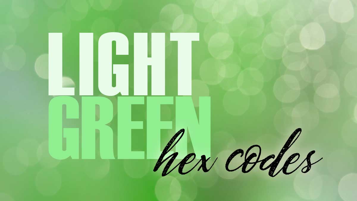 pale green bokeh backgrounds has words, Light Green Hex Codes.