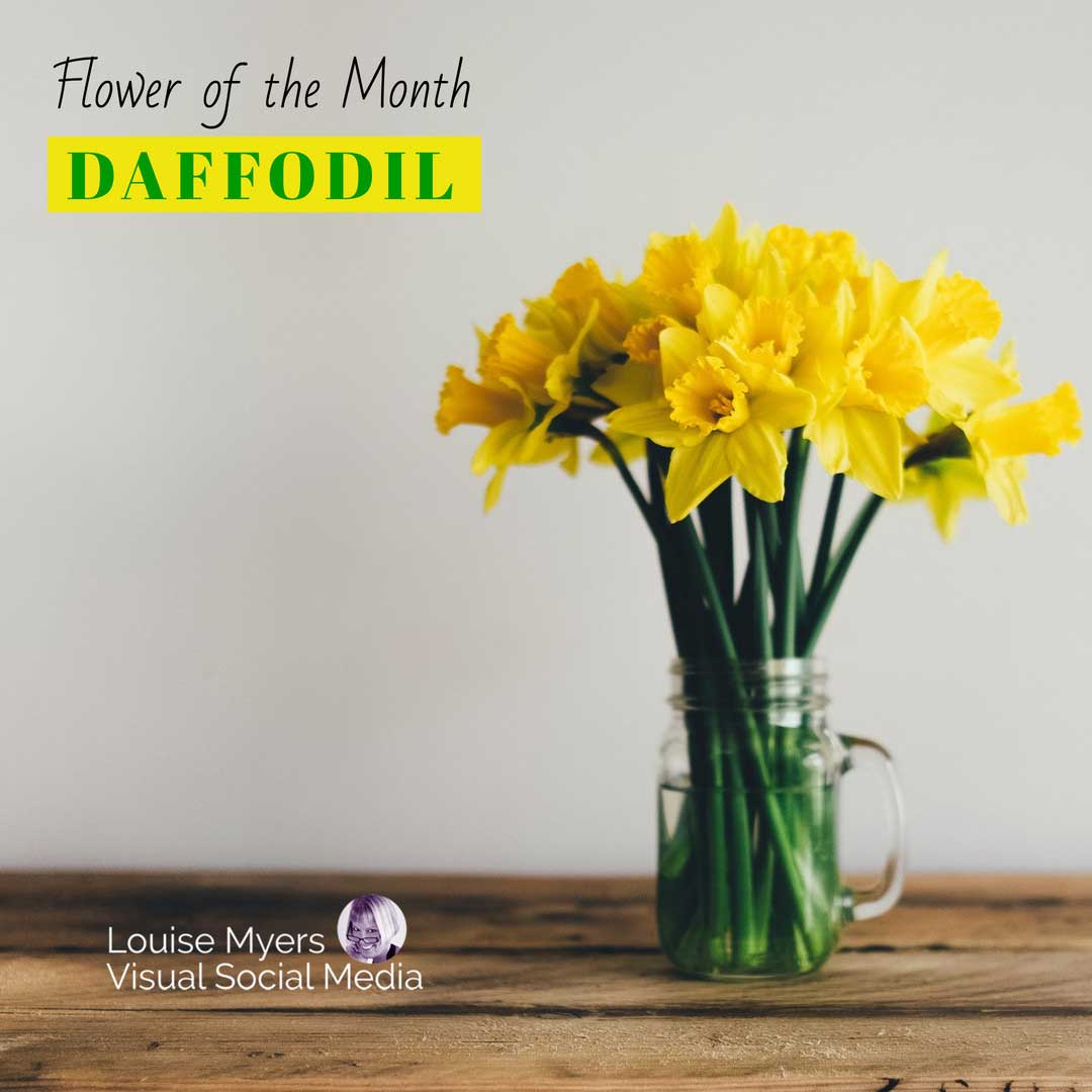 glass mug of daffodils sits on wood table with words march flower.