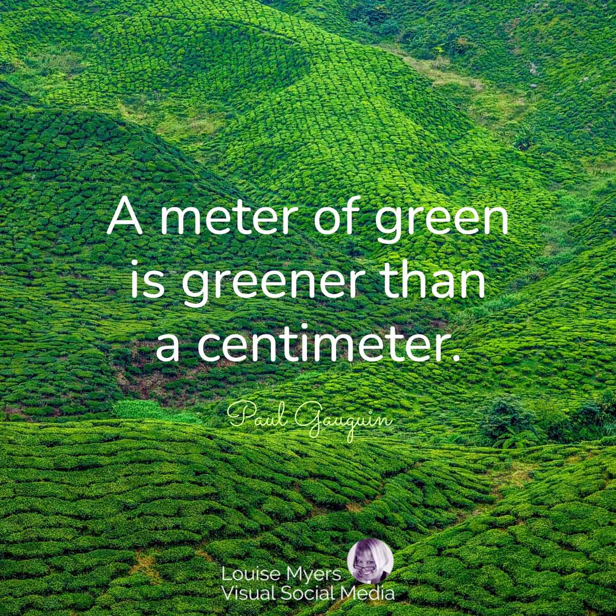 vast green meadows with Gauguin quote, A meter of green is greener than a centimeter.