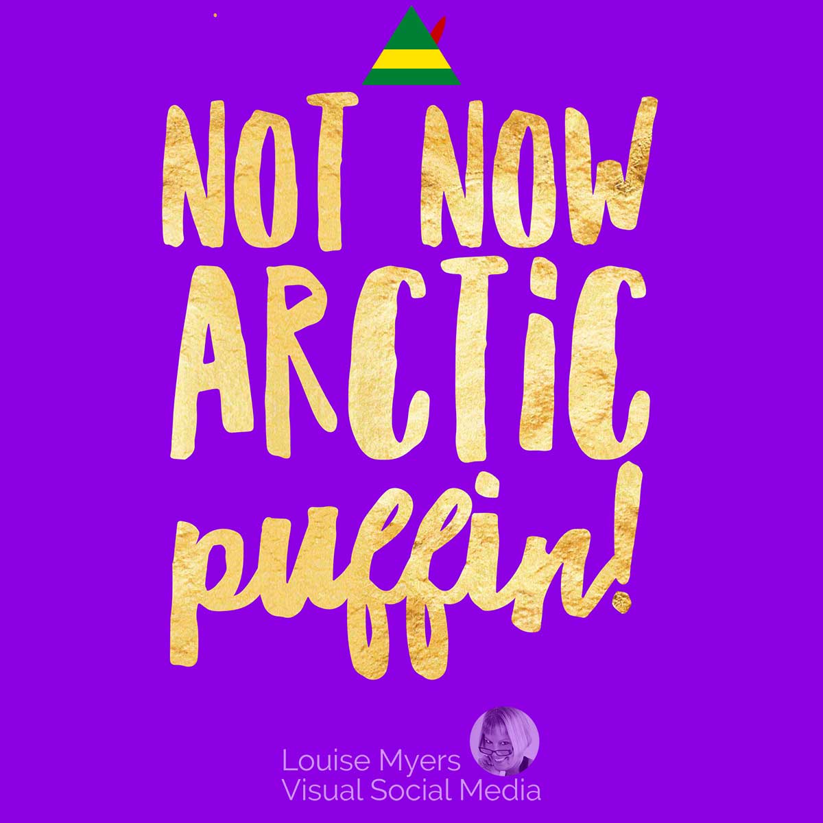 purple quote image with elf hat says Not now, Arctic Puffin!