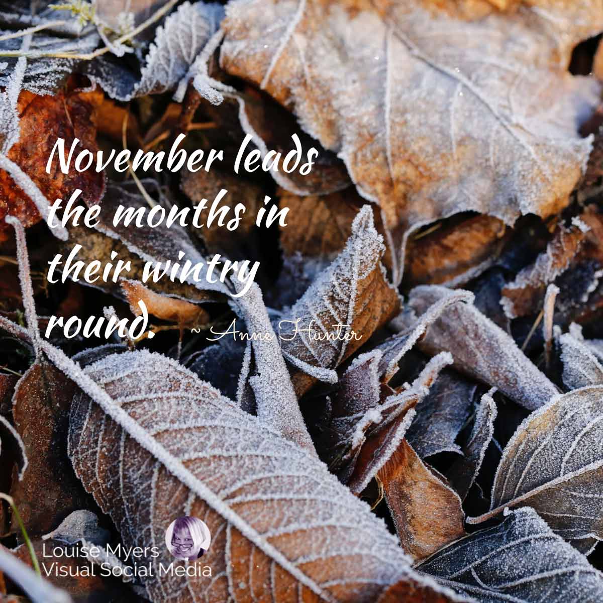 frosty brown leaves with quote, November leads the month in their wintry round.