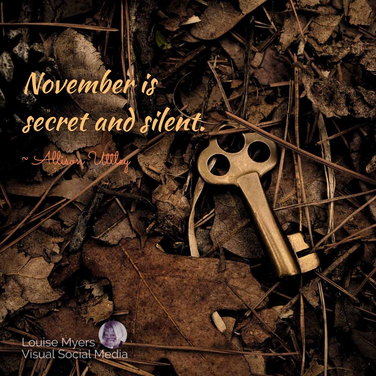 brown leaves and brass key on forest floor has quote, November is secret and silent.