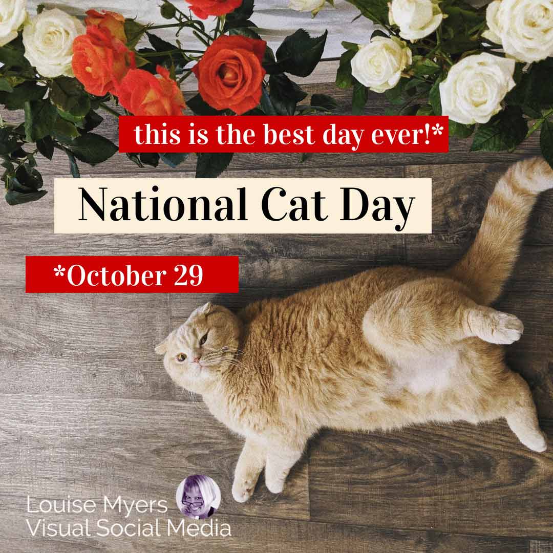 ginger cat relaxing on table with red and white floral arrangement says october 29 is national cat day.