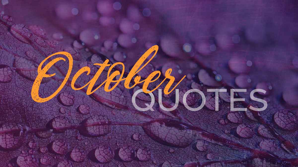 purple leaf with raindrops has words October quotes.