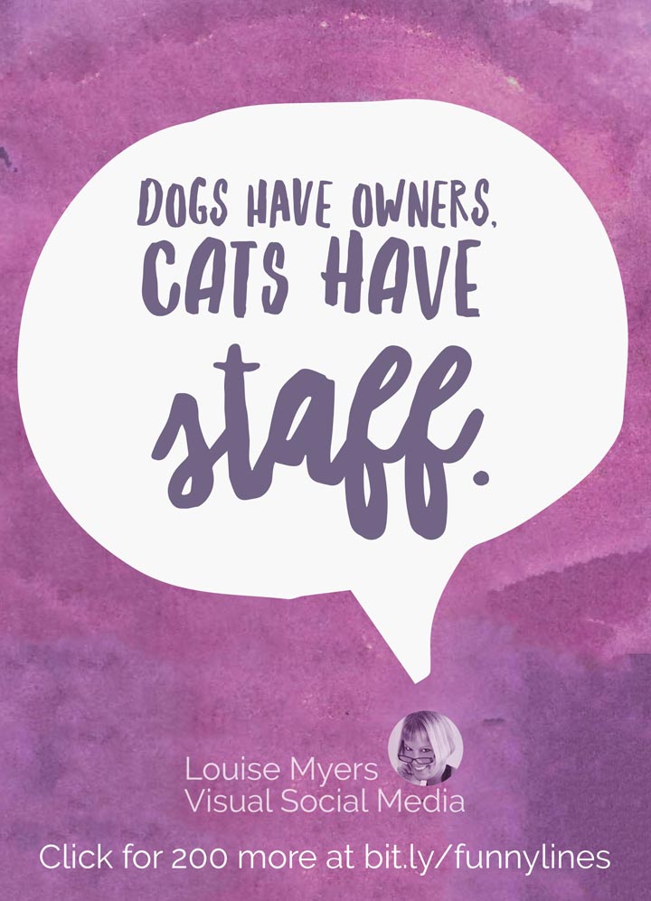 Dogs have owners, cats have staff.