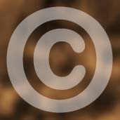 Protect Images by registering copyright