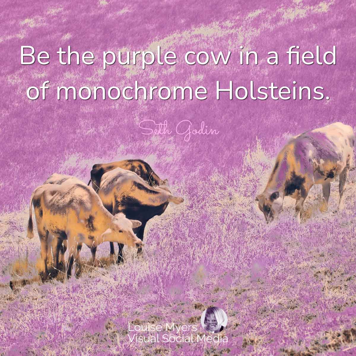 purple cow with quote, Be the purple cow in a field of monochrome Holsteins.