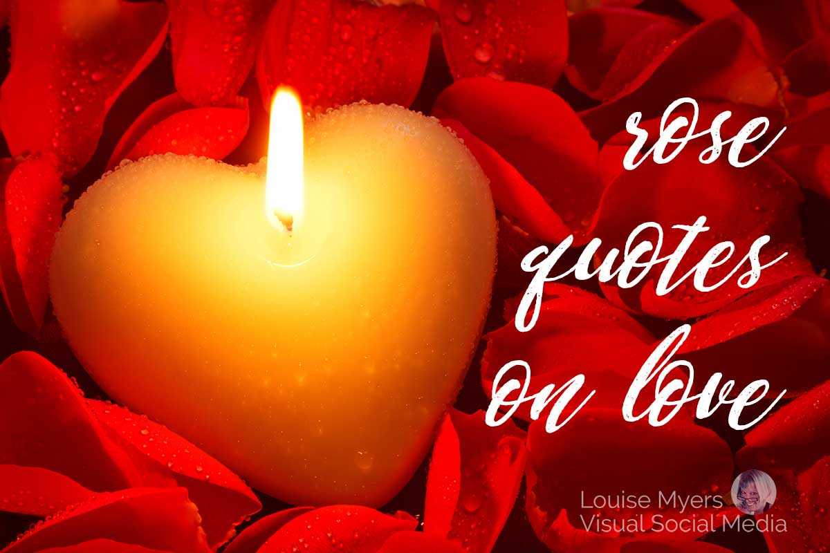 heart candle on red rose petals says rose quotes on love.