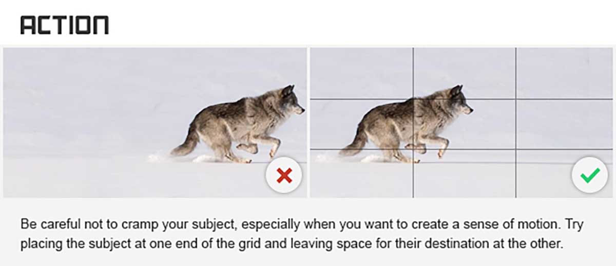 before and after examples show the rule of thirds in action photos.