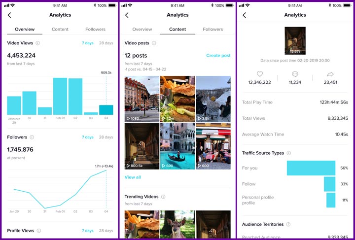 TikTok analytics screenshots