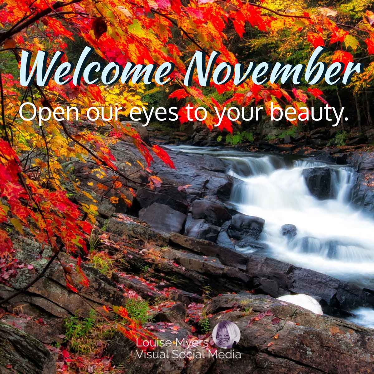 autumn trees surround rushing stream with words Welcome November, open our eyes to your beauty.