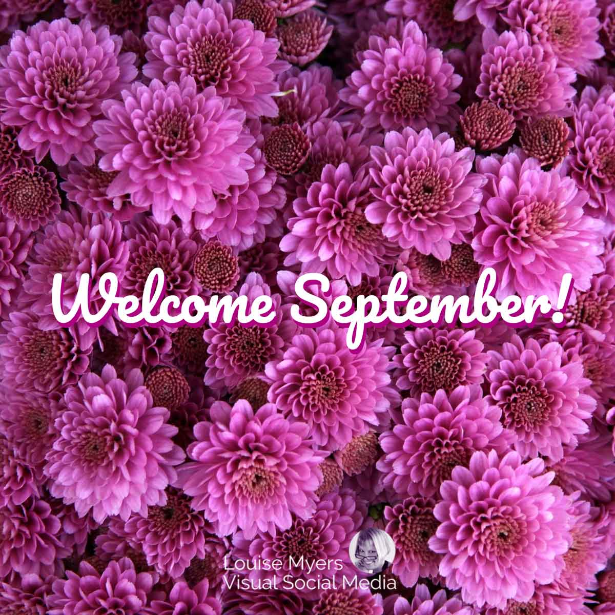 purple mums with script saying Welcome September.