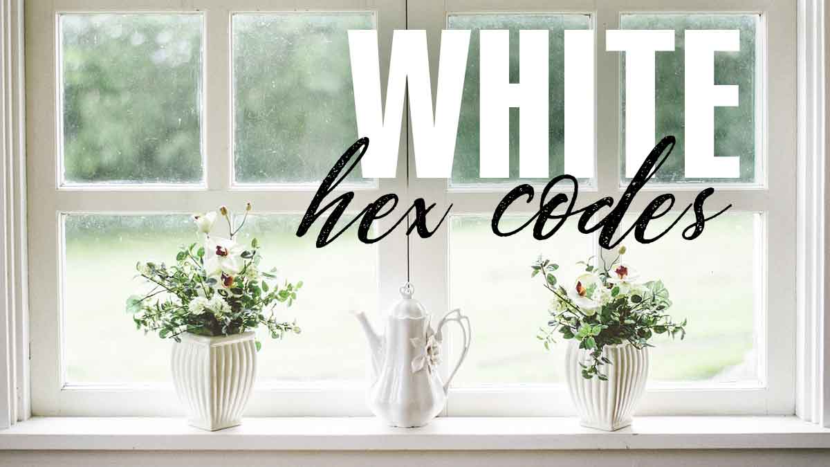 bright window with white potted flowers on sill says white hex codes.