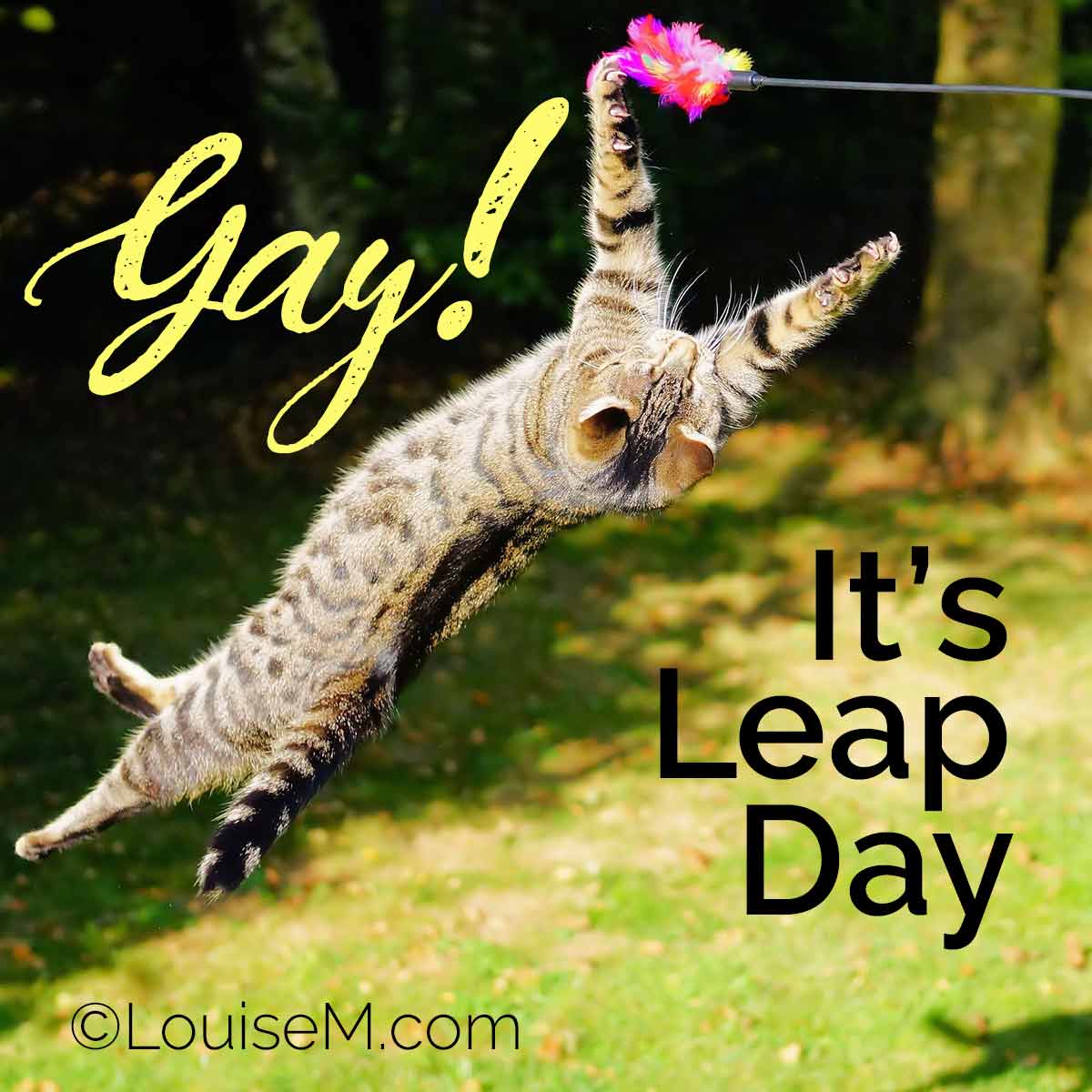 leaping cat has words, Yay, It's Leap Day.