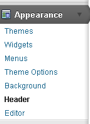 If you now look under the appearance theme you will see that some new choices have been installed.