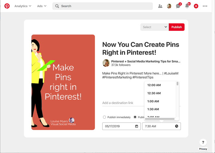 publish your Pin immediately or schedule it for a later date