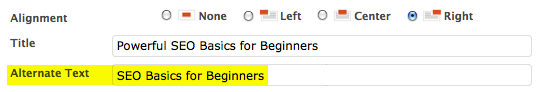 SEO Basics for using Alt text
