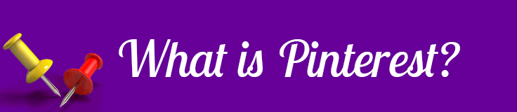 Pinterest was founded in March 2010 and has quickly become one of the top social networks, especially among women, who make up the majority of users.